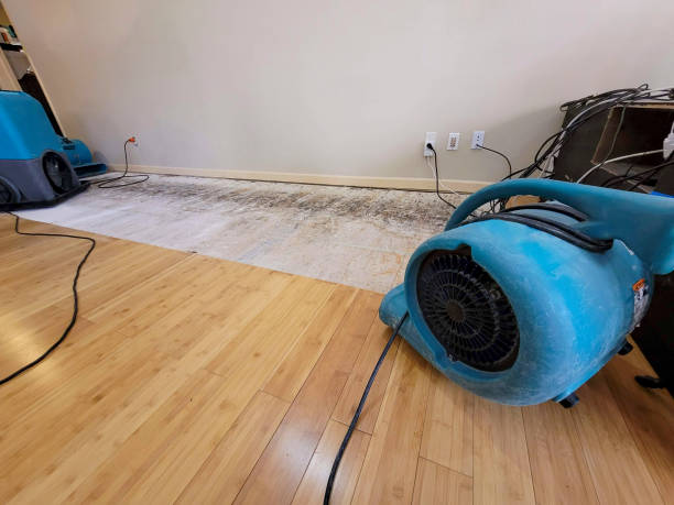 Reliable Basement Flood Cleanup contractor in Wake Forest, NC by Hirex Water Damage