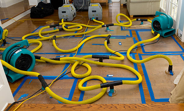 Professional Basement Flood Cleanup technician working in Wake Forest, NC